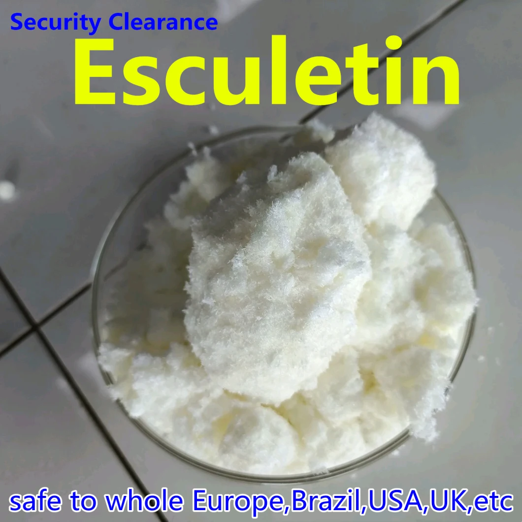 Coutumes européennes de passage du marché 100% des Etats-Unis R-U, poudre pure de 99% Esculetin/Esculetina