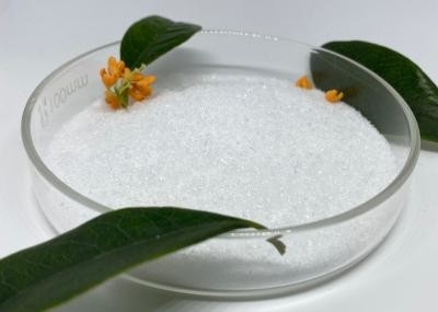 Base de HCL de Benzocaine de CAS 94-09-7 de fabricant de Benzocaine/Benzocaine