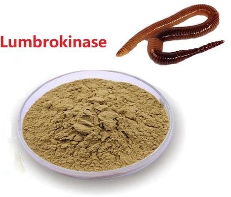 Matière première Lumbrokinase de la livraison sûre d'extrait d'API Raw Powder Low Price Lumbrokinase