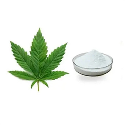 Pureté CAS 5449-12-7 de sel de sodium de poudre blanche d'acide glycidique de Bmk 99%