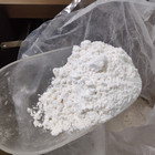 Cas 5449-12-7 acide 2-méthyl-3-phényloxirane-2-carboxylique de la poudre BMK C10H9NaO3