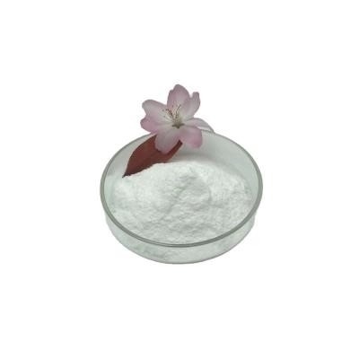 Intermédiaire chimique fine de la livraison sûre de CAS 94-09-7 de Benzocaine de 99%