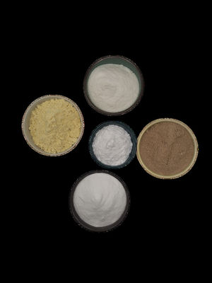 Hot Selling Good Quality Chitosan Powder Online with Wholesale Price CAS: 9012-76-4