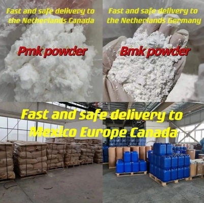 Wanjiang fourniture CAS 28578-16-7 livraison sécurisée pmk poudre 99,9 % Dédouanement sécurisé blanc haute pureté