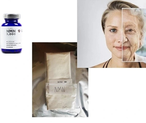 La poudre crue marque sur tablette la mononucléotide Nmn CAS 1094-61-7 de Bêta-nicotinamide pour anti-vieillissement